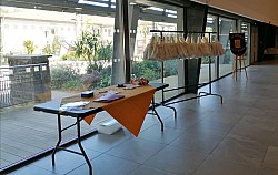 IMG_20250419_121339.jpg IMG_20250419_121339.jpg