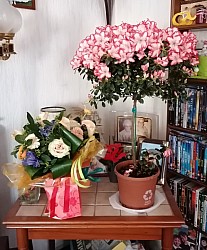 IMG_20250421_101805.jpg IMG_20250421_101805.jpg