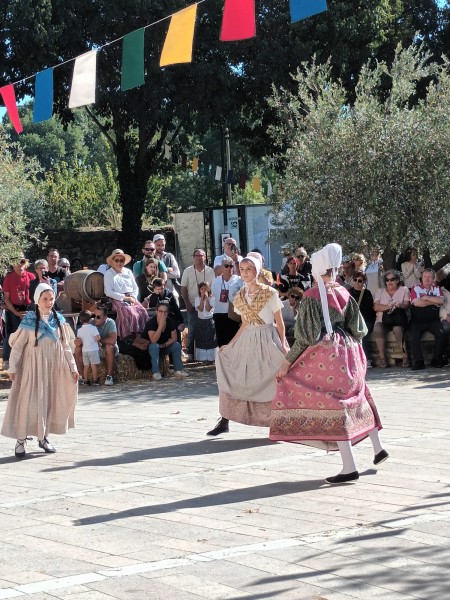 WhatsApp Image 2025-10-12 at 17.47.41.jpg