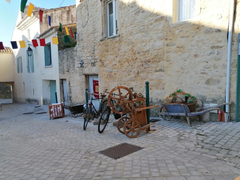 WhatsApp Image 2025-10-13 at 17.31.12 (3).jpg