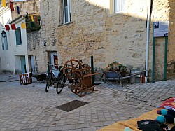 WhatsApp Image 2025-10-13 at 17.31.12 (4).jpg WhatsApp Image 2025-10-13 at 17.31.12 (4).jpg