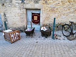 WhatsApp Image 2025-10-13 at 17.31.12.jpg WhatsApp Image 2025-10-13 at 17.31.12.jpg