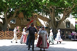 Recampado_Bedoin_2025_135.jpg Recampado_Bedoin_2025_135.jpg