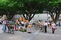 Recampado_Bedoin_2025_31.jpg Recampado_Bedoin_2025_31.jpg