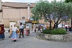 Recampado_Bedoin_2025_40.jpg Recampado_Bedoin_2025_40.jpg