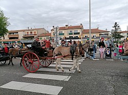 IMG_20250427_112358.jpg IMG_20250427_112358.jpg