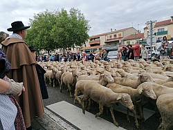 IMG_20250427_112440.jpg IMG_20250427_112440.jpg