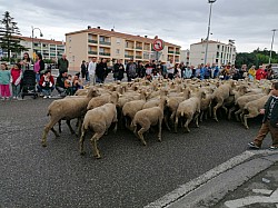 IMG_20250427_112453.jpg IMG_20250427_112453.jpg