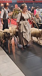 20251116_161906.jpg 20251116_161906.jpg