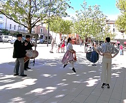 IMG_20250426_103103.jpg IMG_20250426_103103.jpg