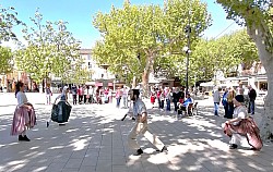 IMG_20250426_103303.jpg IMG_20250426_103303.jpg