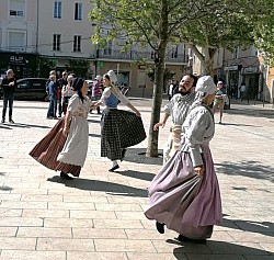 IMG_20250426_110257.jpg IMG_20250426_110257.jpg