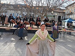 IMG-20250203-WA0048.jpg IMG-20250203-WA0048.jpg