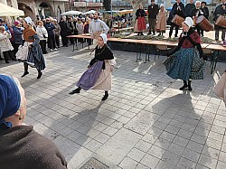 IMG-20250203-WA0060.jpg IMG-20250203-WA0060.jpg