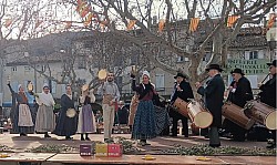 IMG-20250203-WA0102.jpg IMG-20250203-WA0102.jpg