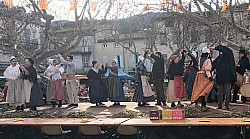 IMG_20250204_092931.jpg IMG_20250204_092931.jpg