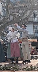 IMG_20250204_093040.jpg IMG_20250204_093040.jpg