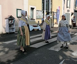 IMG_20250608_093216.jpg IMG_20250608_093216.jpg