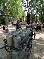 IMG_20250608_154915.jpg IMG_20250608_154915.jpg