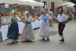 IMG_9656.jpg IMG_9656.jpg