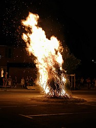 t_IMG_20250628_221129.jpg t_IMG_20250628_221129.jpg