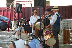 DSC_0118.jpg