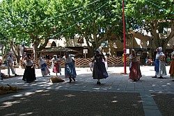 DSC_0135.jpg