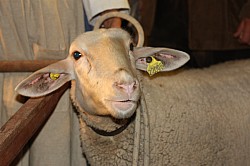 IMG_6507.jpg IMG_6507.jpg