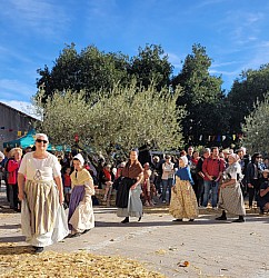 20231015_161202.jpg 20231015_161202.jpg