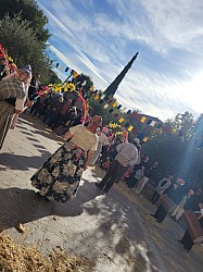 20231015_161307.jpg 20231015_161307.jpg