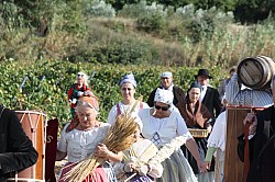 IMG_6136.jpg IMG_6136.jpg