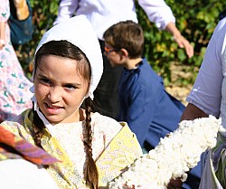 IMG_6145.jpg IMG_6145.jpg