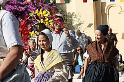 IMG_6245.jpg IMG_6245.jpg