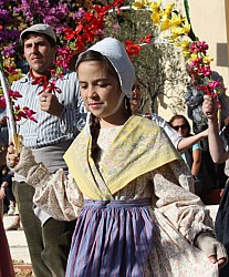 IMG_6250.jpg IMG_6250.jpg