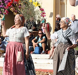 IMG_6254.jpg IMG_6254.jpg