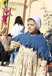 IMG_6255.jpg IMG_6255.jpg