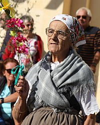 IMG_6259.jpg IMG_6259.jpg