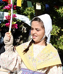 IMG_6271.jpg IMG_6271.jpg