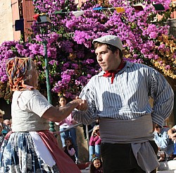 IMG_6317.jpg IMG_6317.jpg