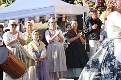 IMG_6330.jpg IMG_6330.jpg