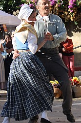 IMG_6339.jpg IMG_6339.jpg