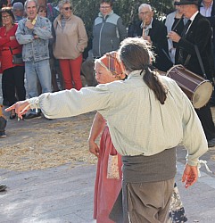 IMG_6349.jpg IMG_6349.jpg