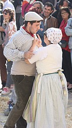 IMG_6356.jpg IMG_6356.jpg