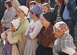 IMG_6362.jpg IMG_6362.jpg