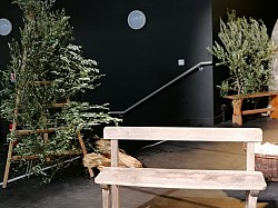 IMG_20231117_160847.jpg IMG_20231117_160847.jpg