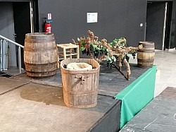 IMG_20231117_160927.jpg IMG_20231117_160927.jpg