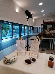 IMG_20231117_161858.jpg IMG_20231117_161858.jpg