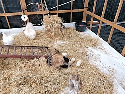 IMG_20231118_100217.jpg IMG_20231118_100217.jpg