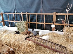 IMG_20231118_100221.jpg IMG_20231118_100221.jpg