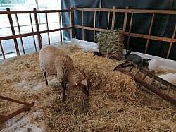 IMG_20231118_100224.jpg IMG_20231118_100224.jpg